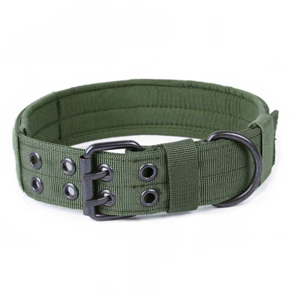 Green dog collar with black buckle on a white background