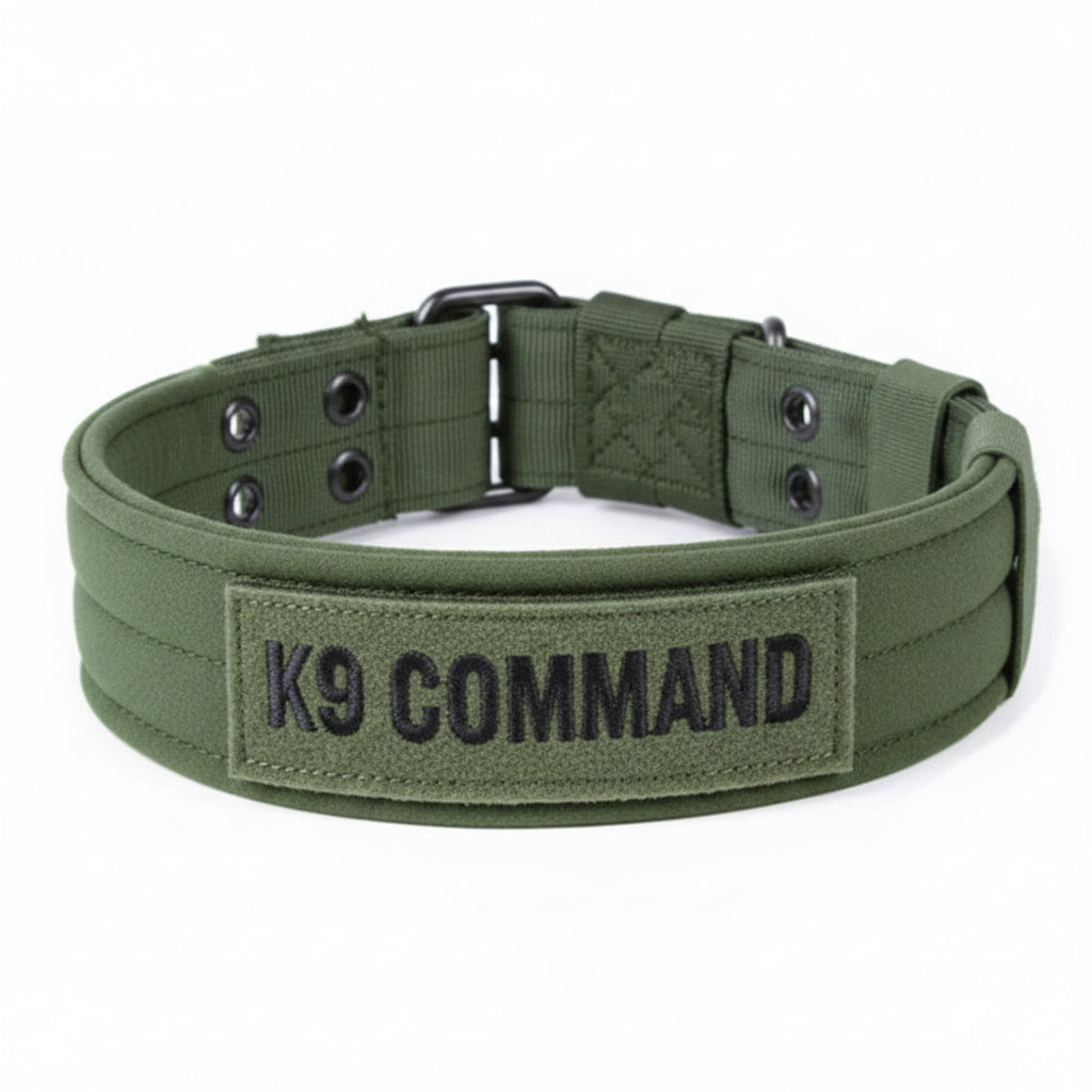 Green dog collar with black buckle on a white background