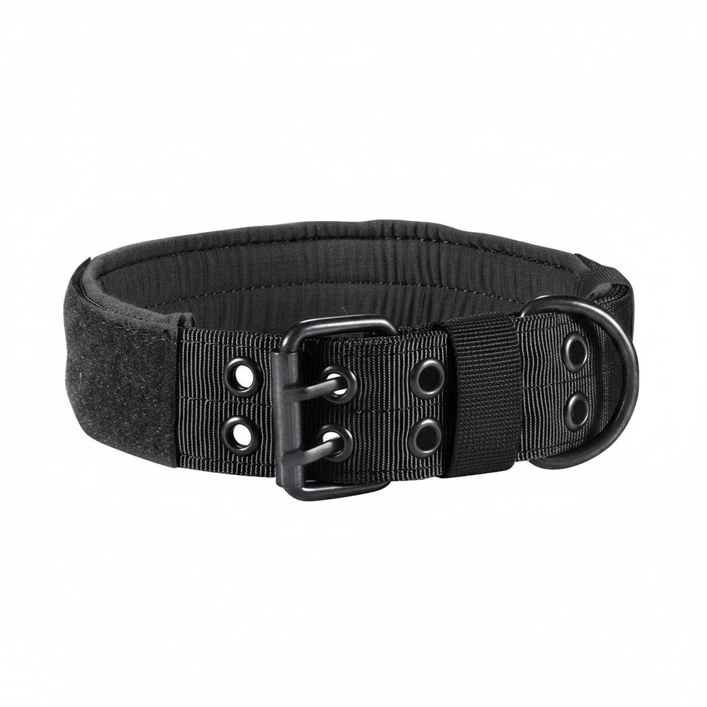 Black dog collar with a metal buckle on a white background